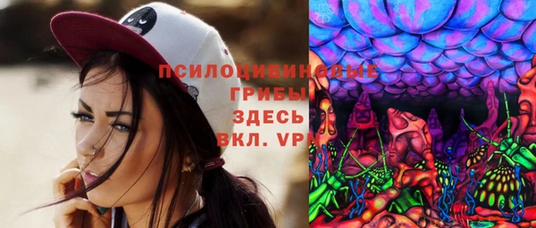 ГАЛЛЮЦИНОГЕННЫЕ ГРИБЫ Медвежьегорск