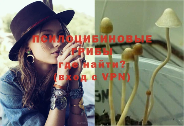 ГАЛЛЮЦИНОГЕННЫЕ ГРИБЫ Медвежьегорск