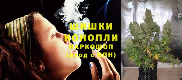 ГАЛЛЮЦИНОГЕННЫЕ ГРИБЫ Медвежьегорск
